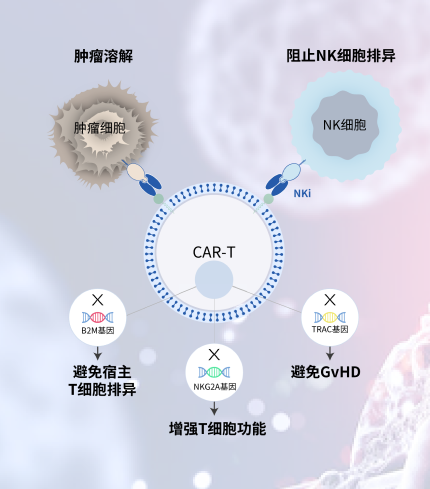 <p>THANK-uCAR<sup>®</sup></p>